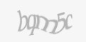 Защитный код